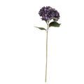 Antique purple giant hydrangea