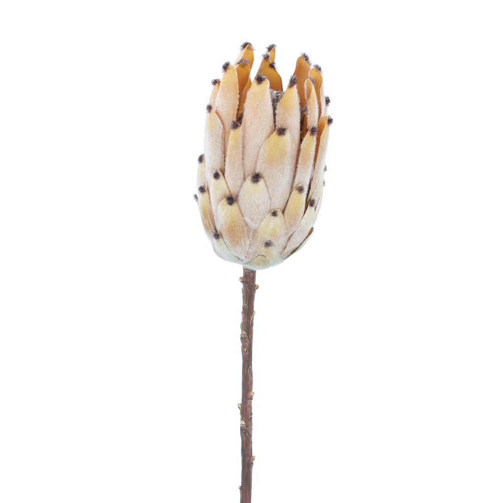 Beige Antiqued Protea Stem