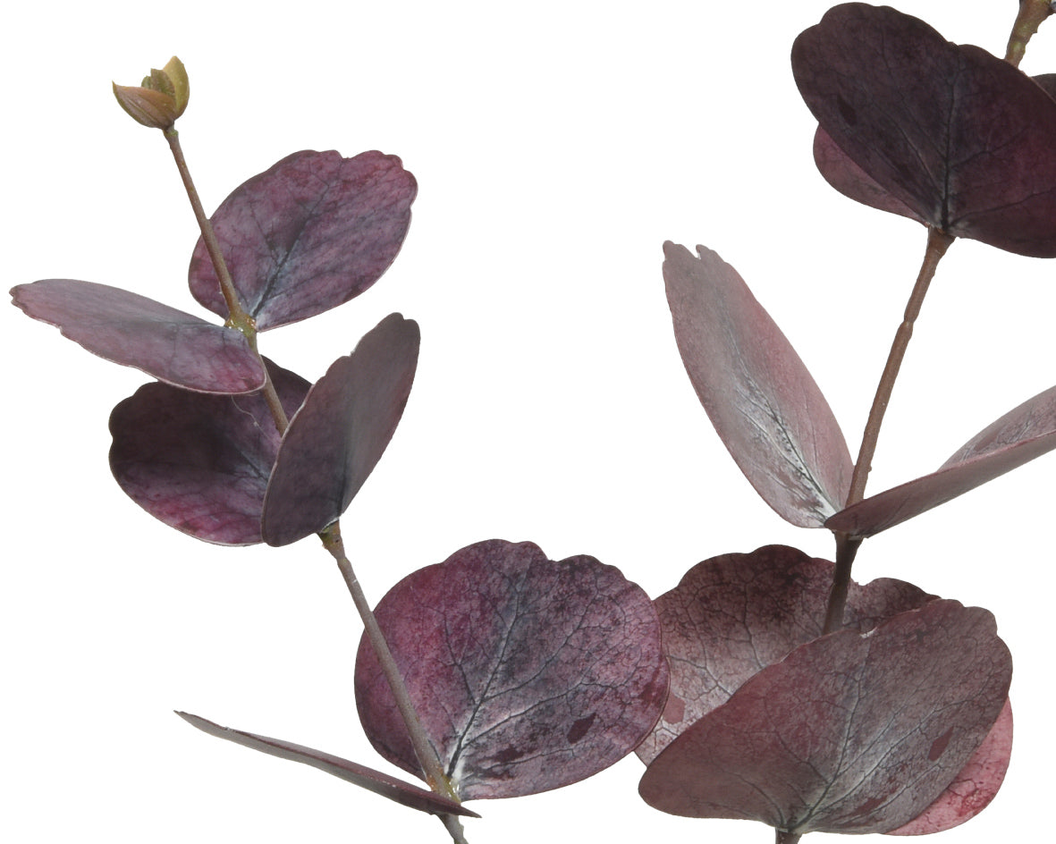 Real touch purple eucalyptus stem