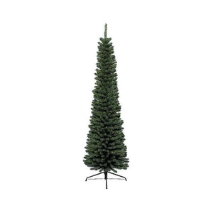 Pencil Pine-5ft