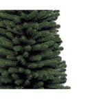 Pencil Pine 7ft