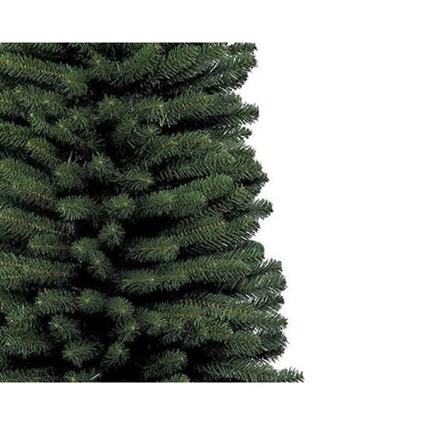 Pencil Pine 7ft