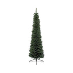 Pencil Pine 7ft