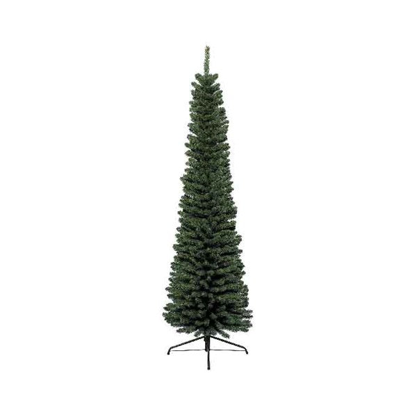 Pencil Pine-7ft