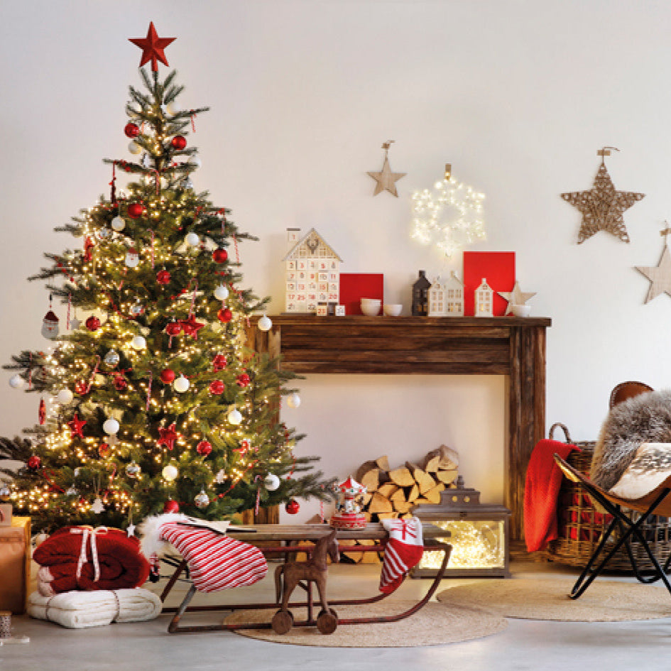 Grandis Fir 7ft