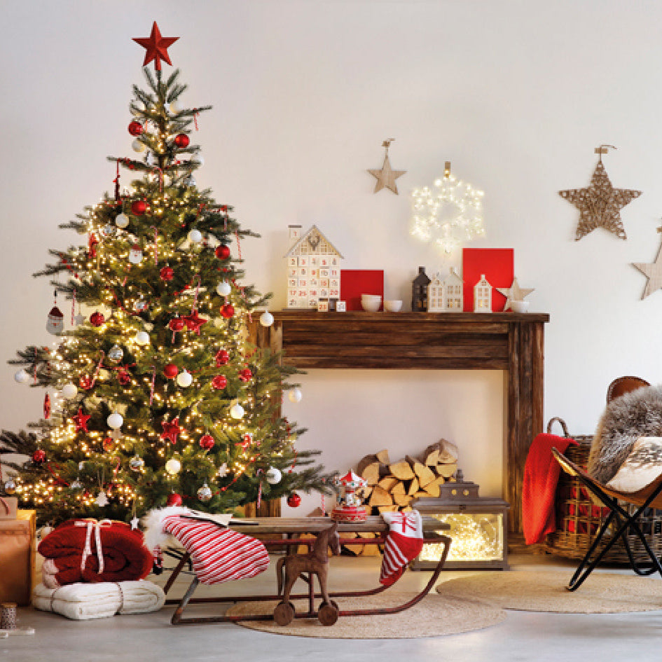 Grandis Fir 8ft