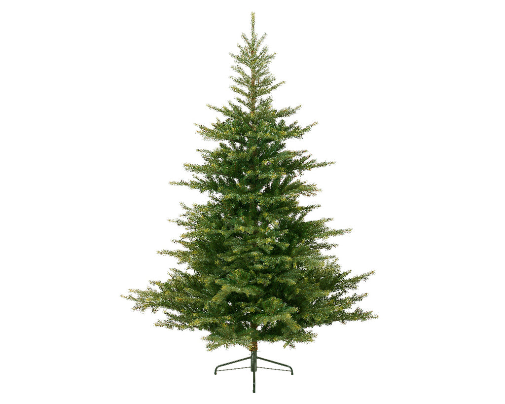 Grandis Fir 9ft Christmas Tree
