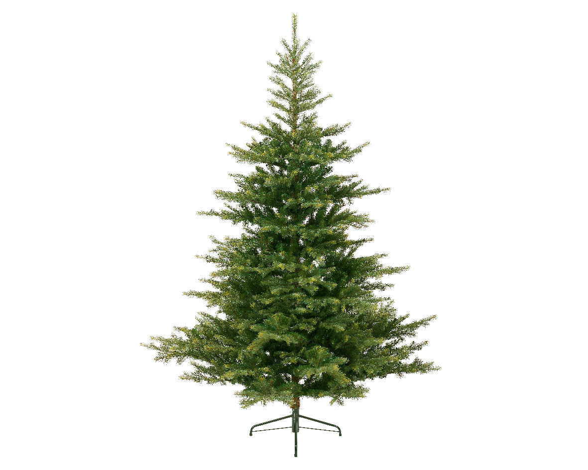 Grandis Fir 9ft Christmas Tree
