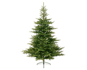 Grandis Fir 9ft Christmas Tree