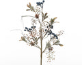 Blue berry spray
