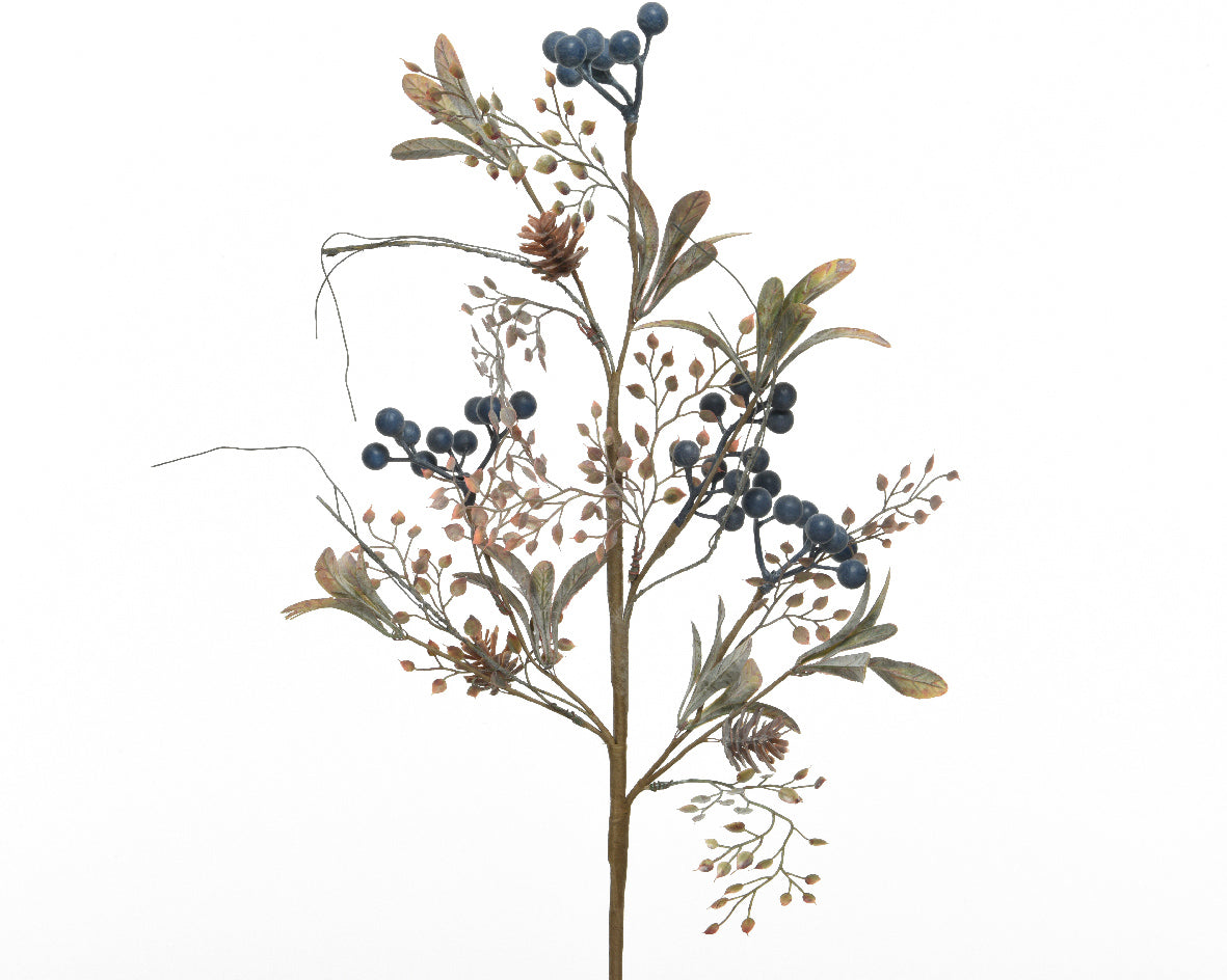 Blue berry spray