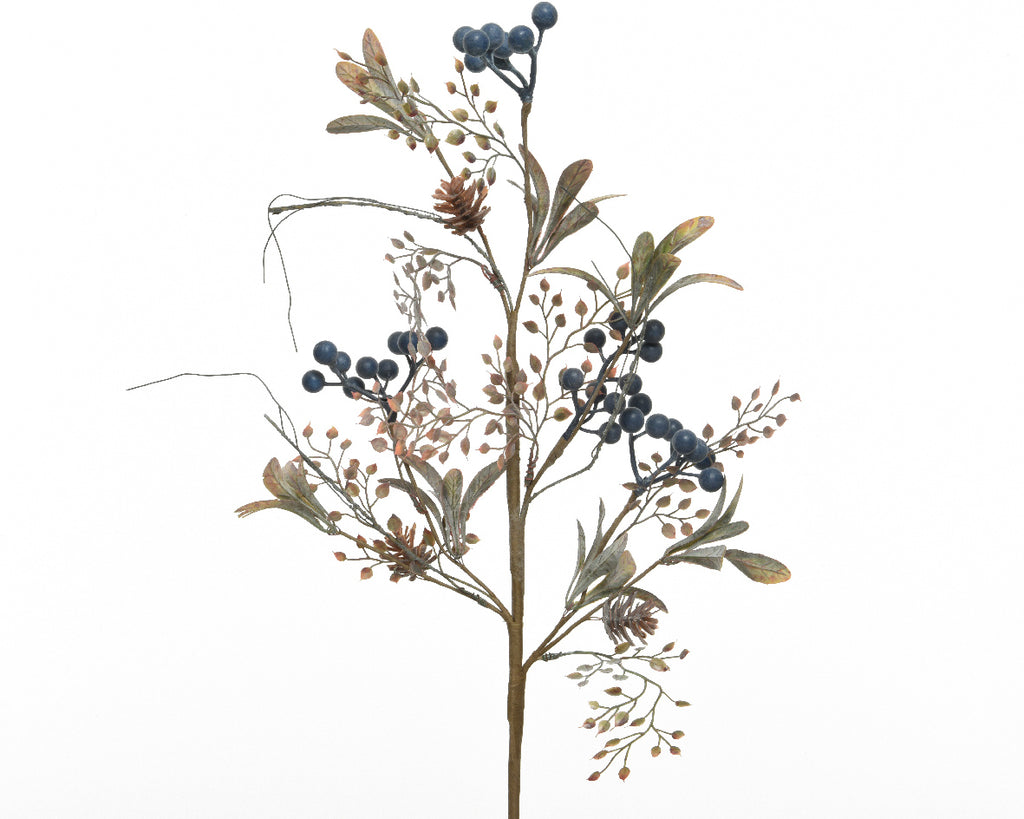 Blue berry spray