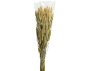 Real dried flower bunny tails