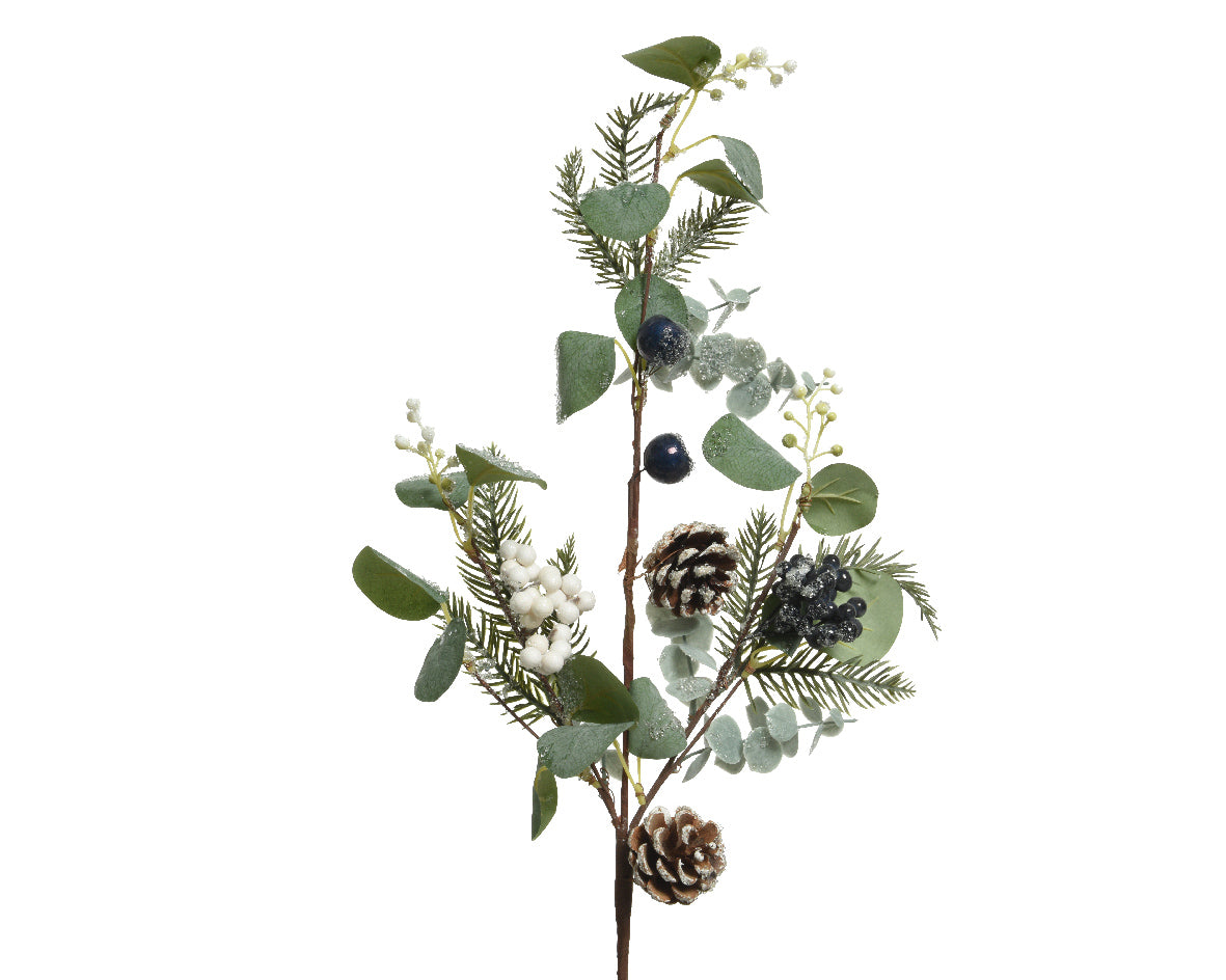 Frosted blueberry and eucalyptus stem