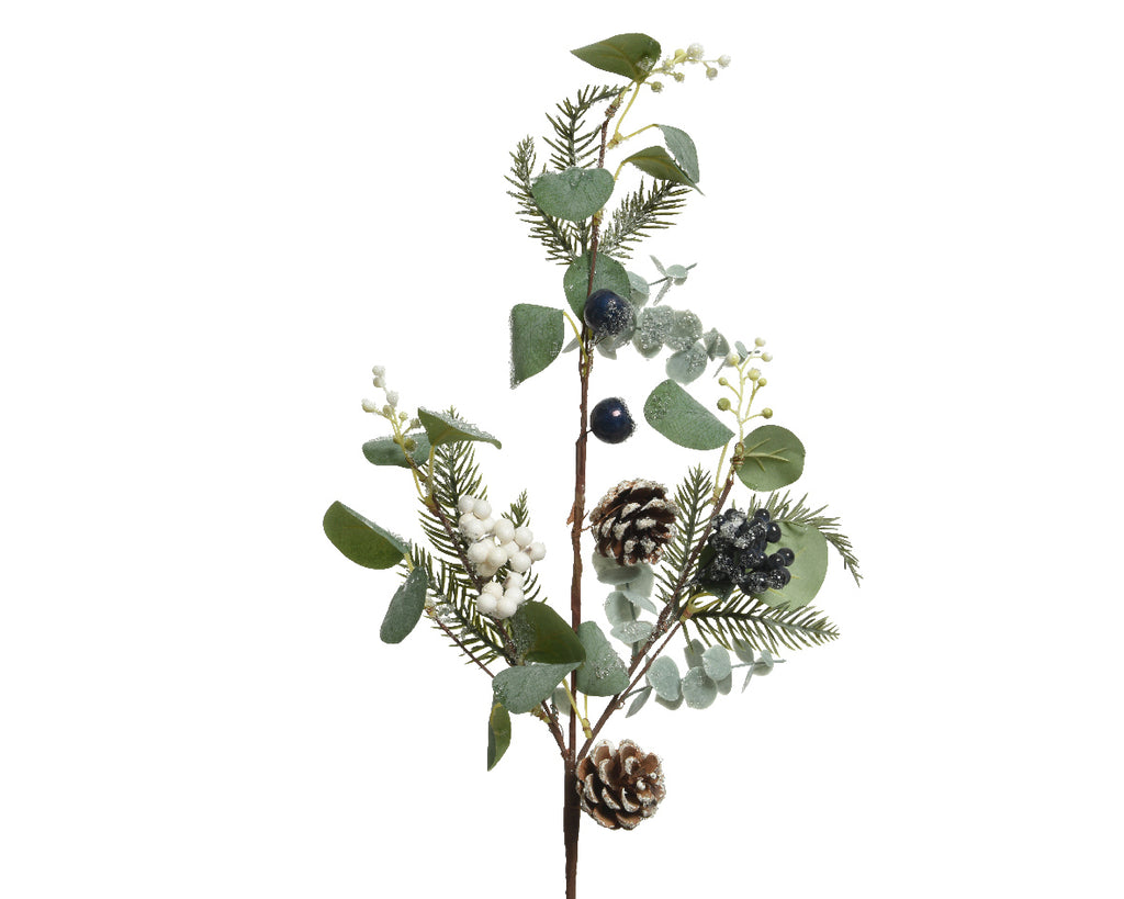 Frosted blueberry and eucalyptus stem