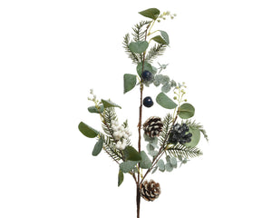 Frosted blueberry and eucalyptus stem