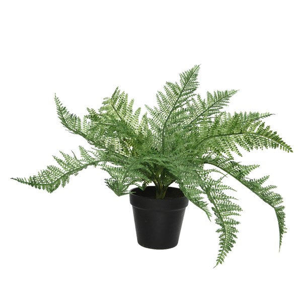 Potted faux fern