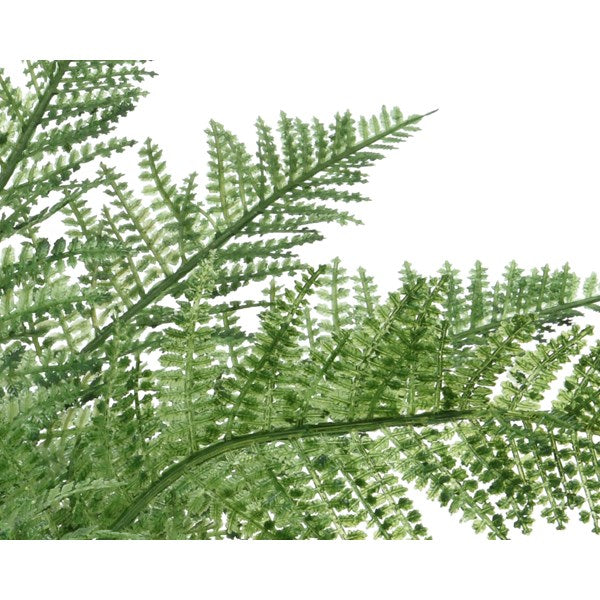 Potted faux fern