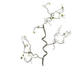 Hazel branch