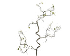 Hazel branch