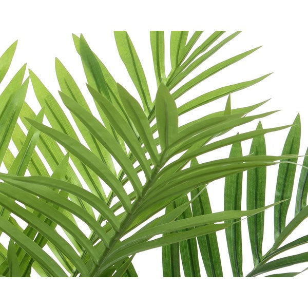 Medium palm tree plant in pot