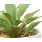 Succulent in contemporary pot and stand