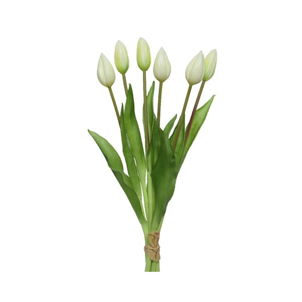 White tulip bundle