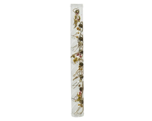 Dried flowers in Glass Easter egg hanging decorations-tube of 8