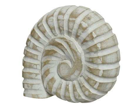 Sea shell ornament- large