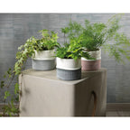 Portuguese rustic mesh print plant pot