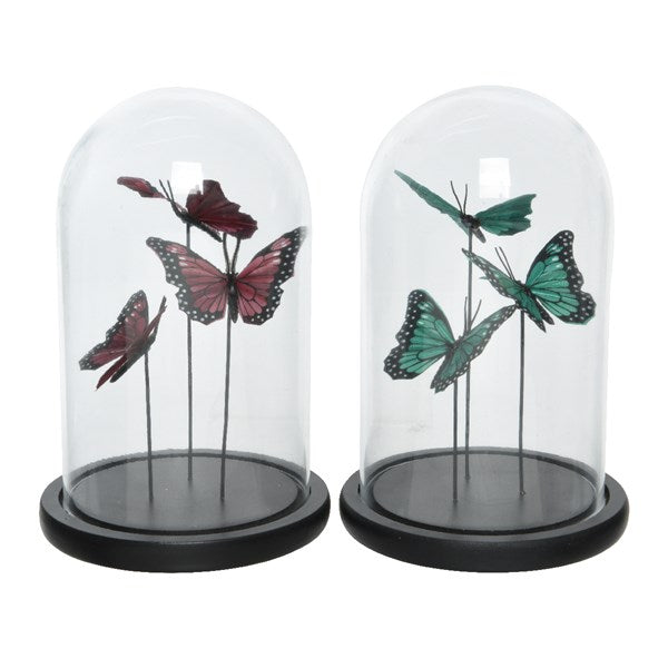 Glass cloche with butterflies