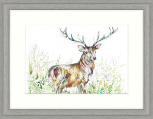 PRE-ORDERS 'Autumn' wooden framed stag print