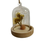Dried flower glass hanging decorations