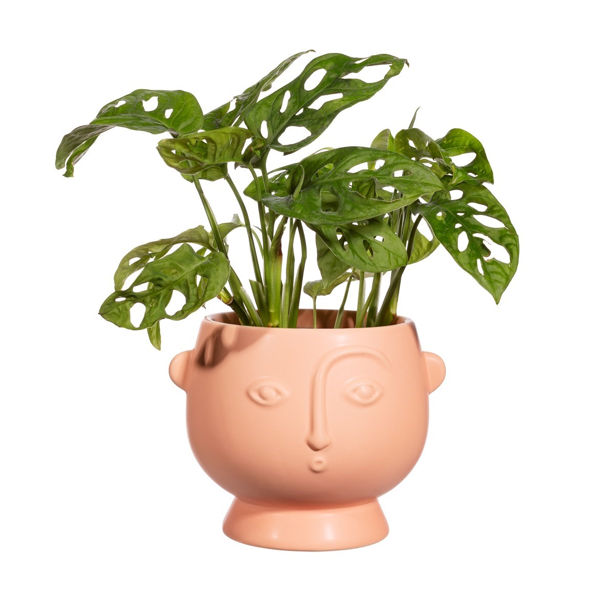 Large face planter in light pink