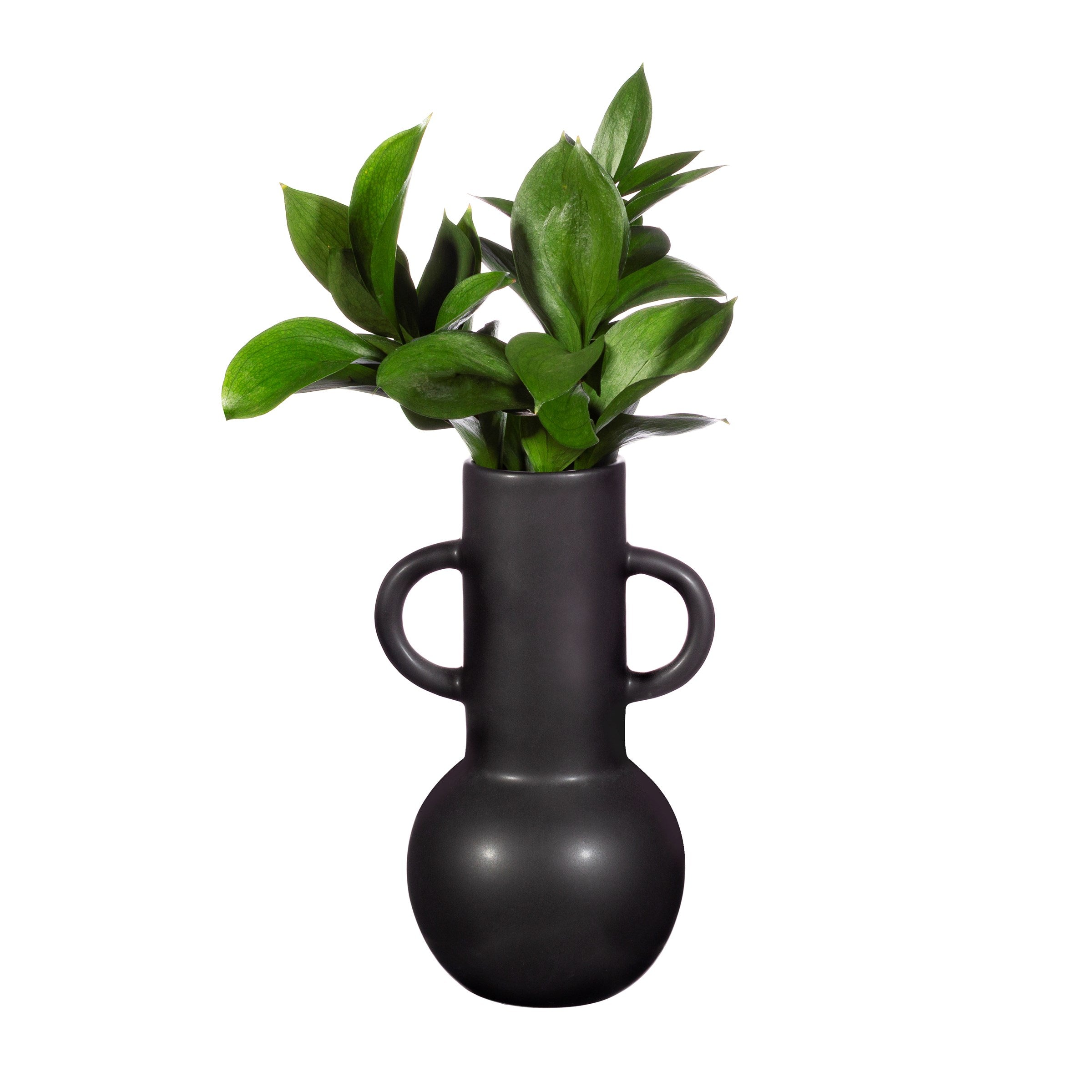 Large amphora vase in black