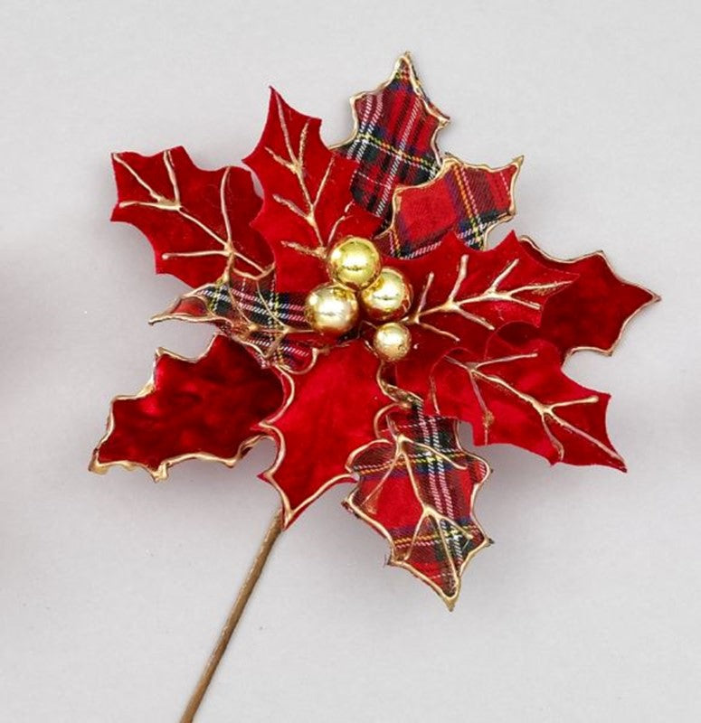 Tartan holly poinsettia stem