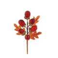 Autumnal acorn picks