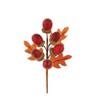 Autumnal acorn picks