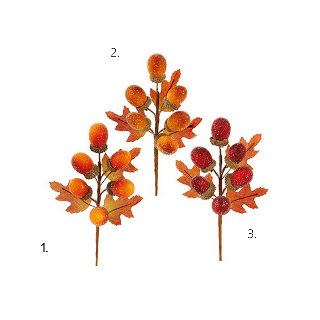 Autumnal acorn picks