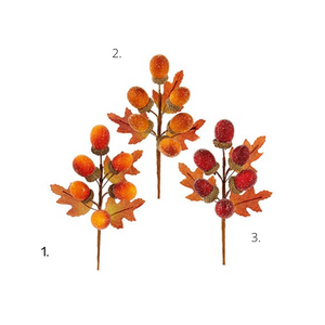 Autumnal acorn picks