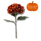 Russet giant hydrangea