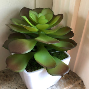 Faux Little succulent potted plant