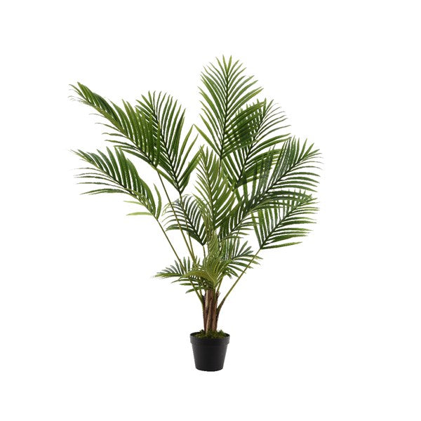 Palm tree in pot