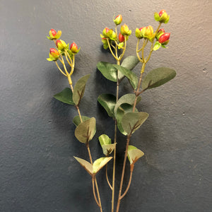 Hypericum Spray