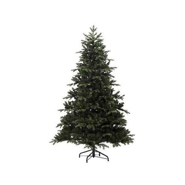 Noble pine-8ft