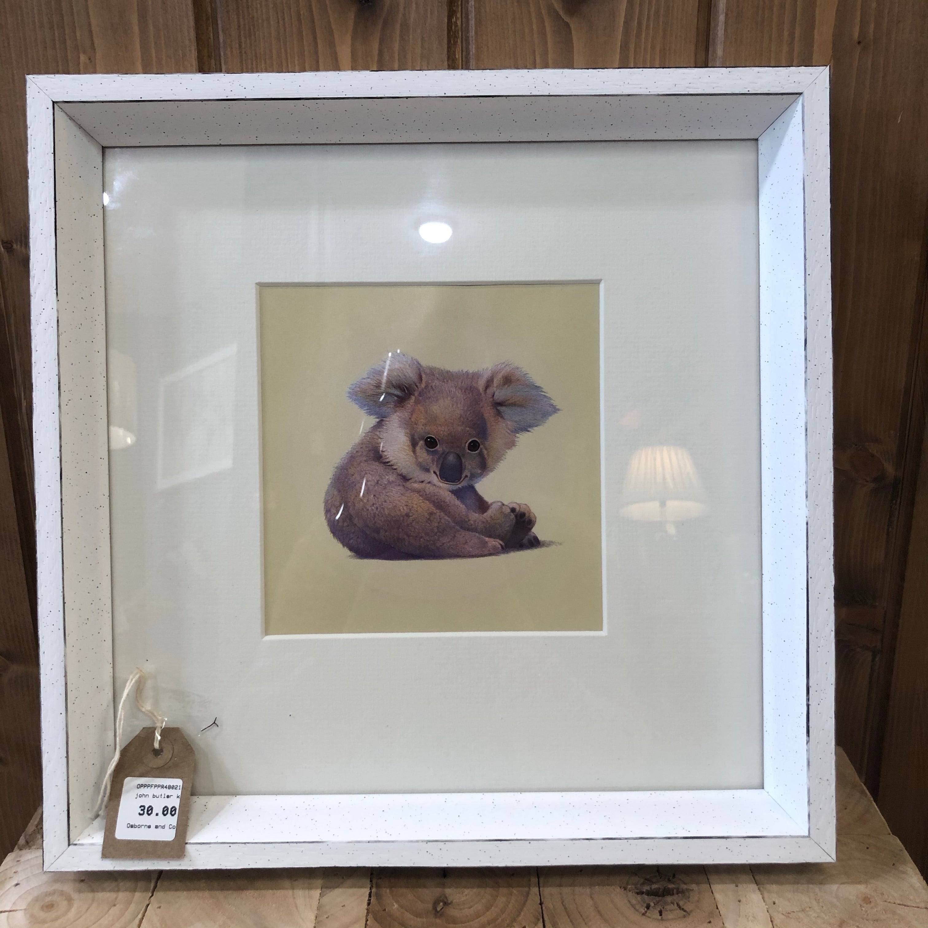 Baby Koala framed print