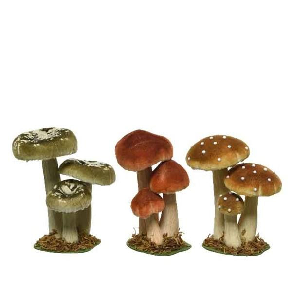 Medium Toadstool family