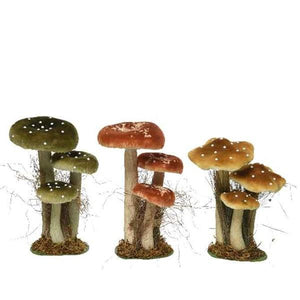 Tall Toadstool family