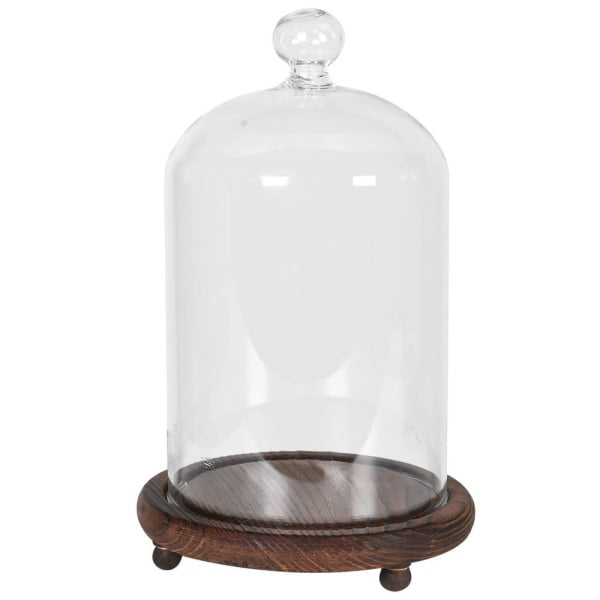 Small Glass Cloche