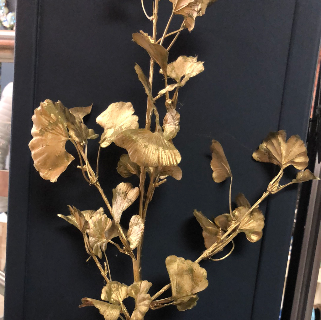 Gold ginkgo stem